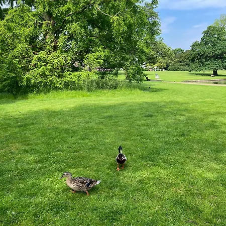 300meter Walk To Lego House-best Location-garden On Site-n18 アパート ビルン