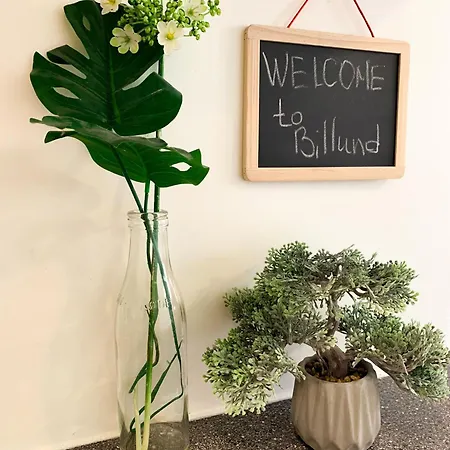 Apartament 300meter Walk To Lego House-best Location-garden On Site-n18 *